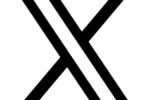 Twitter跨境物流避坑技巧，新手卖家必看的实战指南